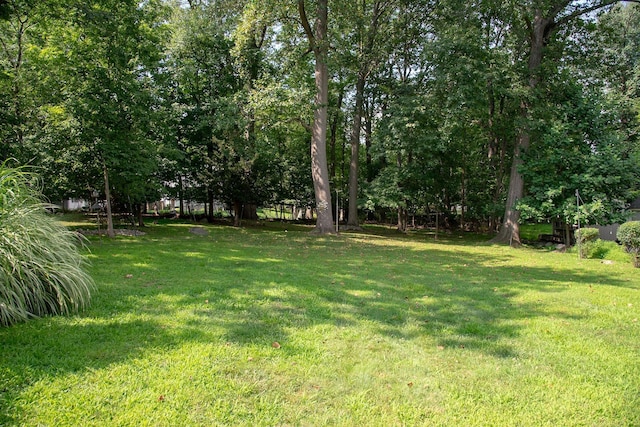 359 Orangeburg Rd, Pearl River, NY 10965 - photo 20