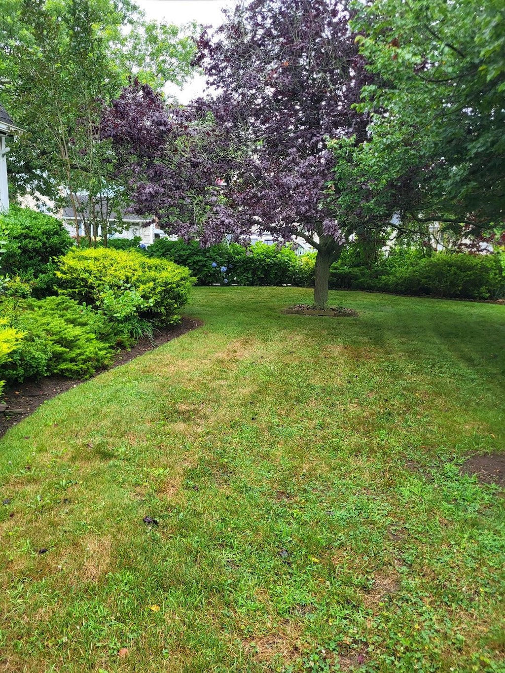 2 Dorothy Ct, Merrick, NY 11566 - photo 3