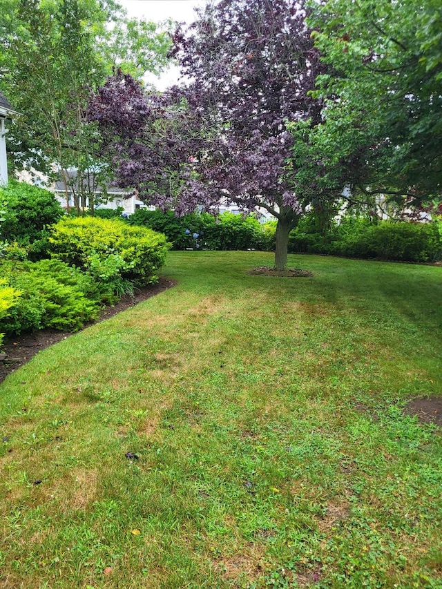 2 Dorothy Ct, Merrick, NY 11566 - photo 3