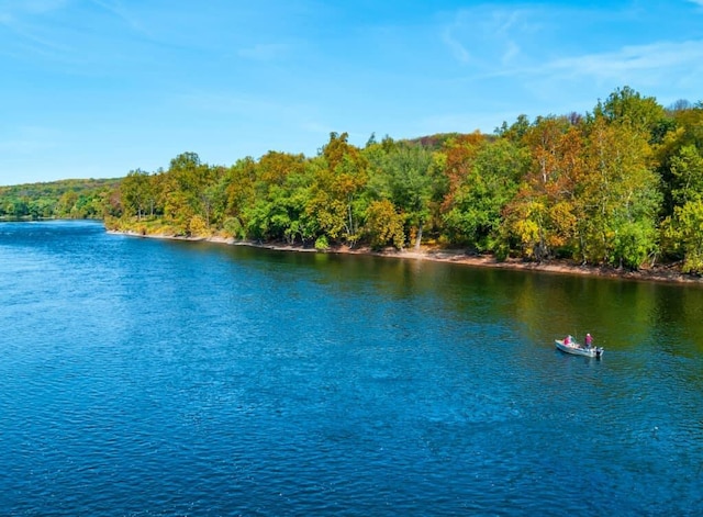 310 River, Deposit, NY 13754 - photo 2