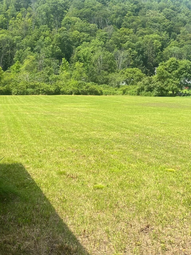 310 River, Deposit, NY 13754 - photo 32