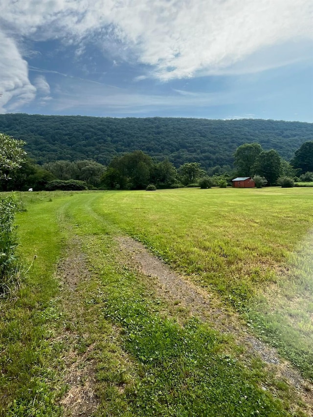 310 River, Deposit, NY 13754 - photo 35