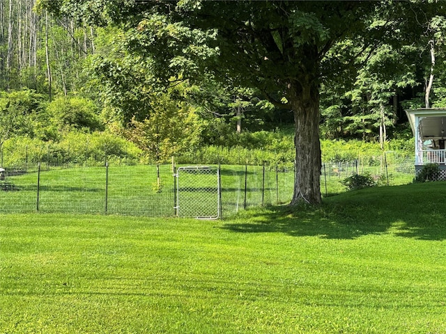 310 River, Deposit, NY 13754 - photo 37