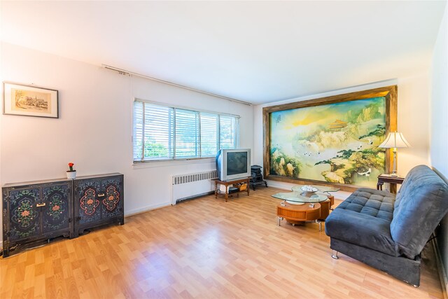 60 Jayson Ave, Great Neck, NY 11021 - photo 4