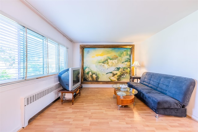 60 Jayson Ave, Great Neck, NY 11021 - photo 6