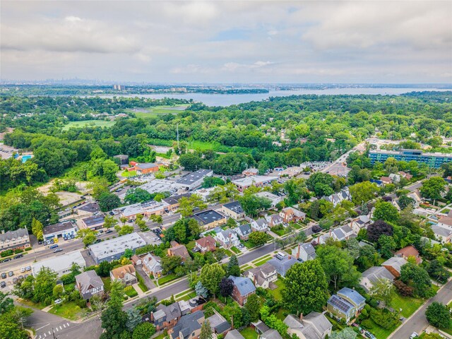 60 Jayson Ave, Great Neck, NY 11021 - photo 29