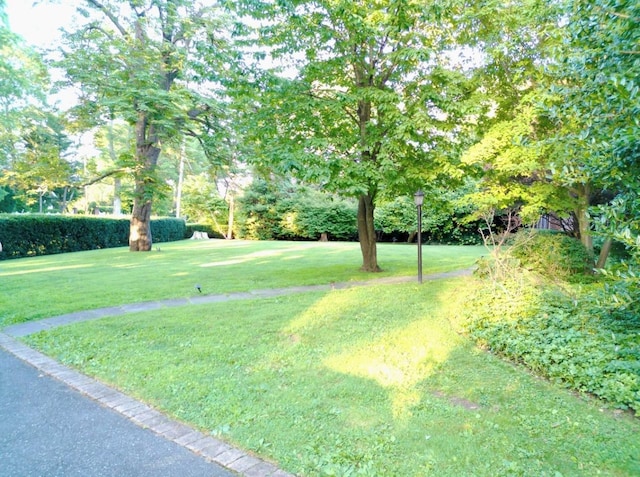 118 Highland Rd, Glen Cove, NY 11542 - photo 2