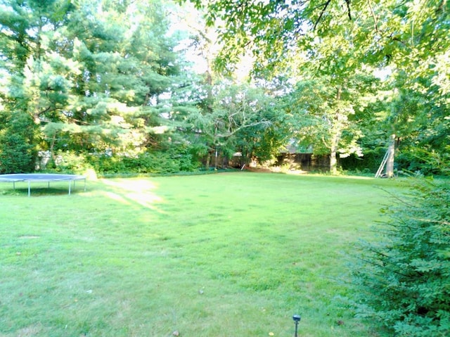118 Highland Rd, Glen Cove, NY 11542 - photo 14