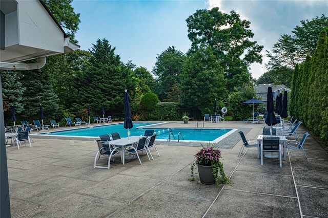 8 Gerriet Ct Unit 8, Northport, NY 11768 - photo 35