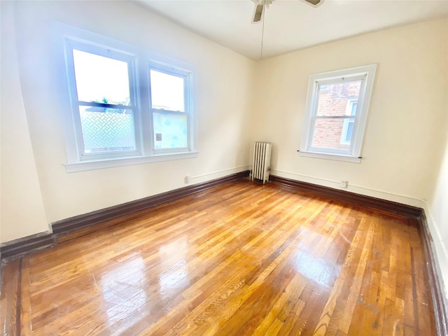 140-19 Mulberry Ave, Flushing, NY 11355 - photo 14