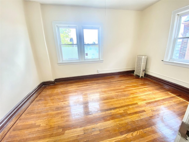 140-19 Mulberry Ave, Flushing, NY 11355 - photo 17