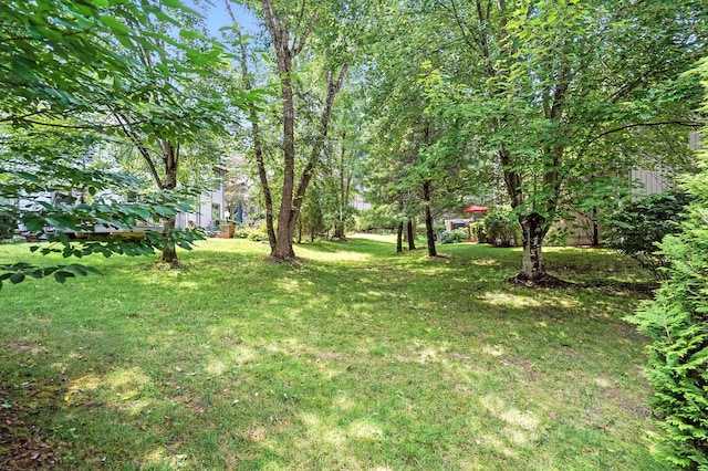 133 Woodbrook Rd, White Plains, NY 10605 - photo 34