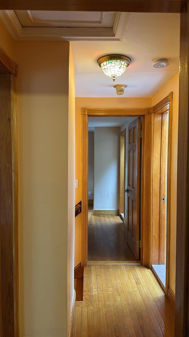 445 W Hartsdale Ave, Hartsdale, NY 10530 - photo 36