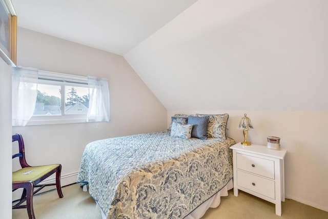6 Bridge Ln, Hicksville, NY 11801 - photo 13
