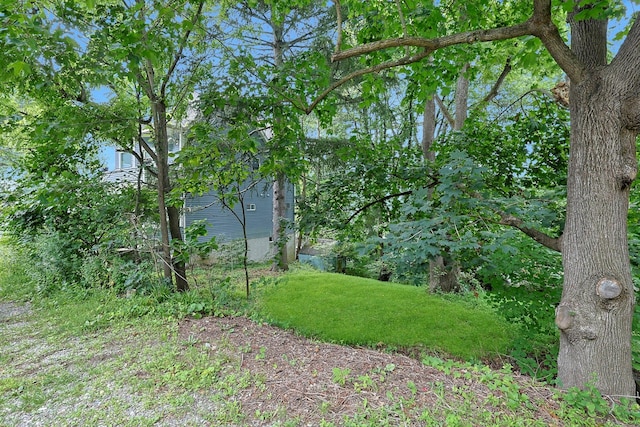 681 Sherman Ave, Thornwood, NY 10594 - photo 15