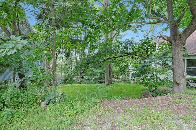 681 Sherman Ave, Thornwood, NY 10594 - photo 16