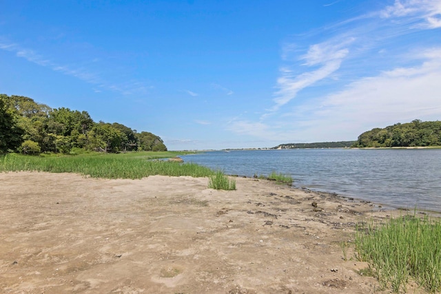 88 Dyke Rd, East Setauket, NY 11733 - photo 2