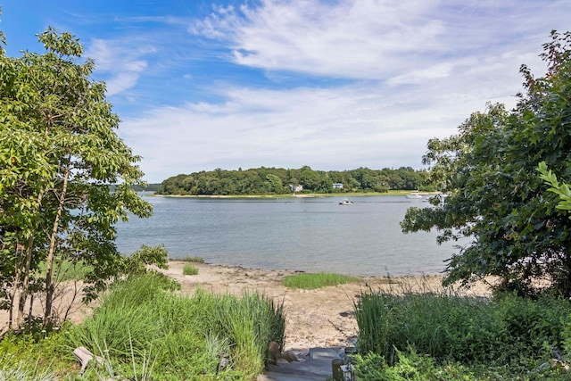 88 Dyke Rd, East Setauket, NY 11733 - photo 3