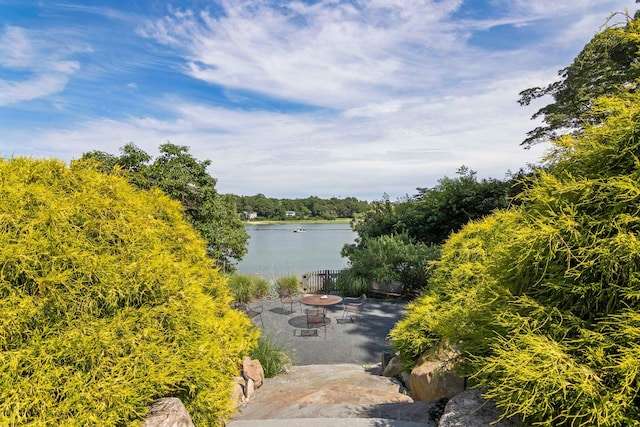 88 Dyke Rd, East Setauket, NY 11733 - photo 5