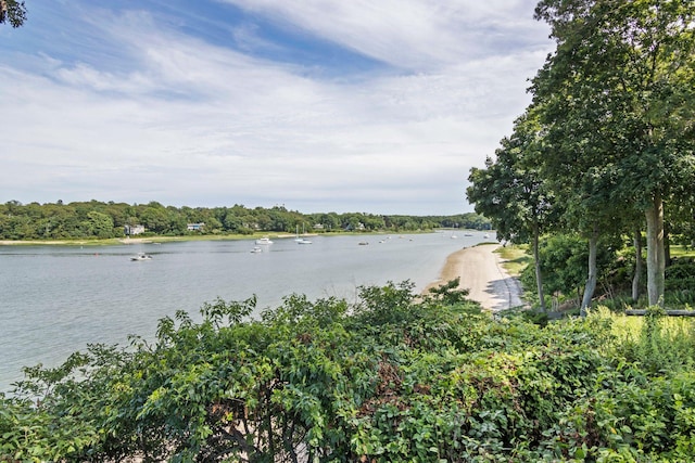 88 Dyke Rd, East Setauket, NY 11733 - photo 7