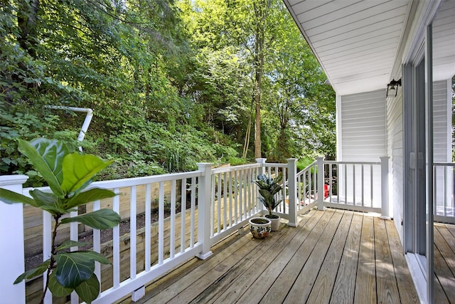 16 Hemlock Ct, Fishkill, NY 12524 - photo 20