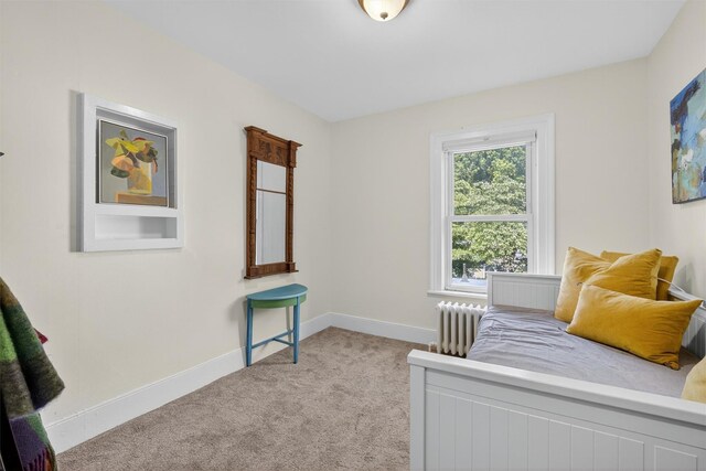 15 Maple St, Beacon, NY 12508 - photo 33