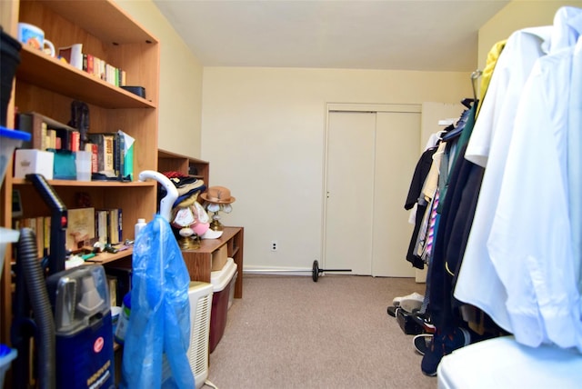 3317 Gunther Ave, Bronx, NY 10469 - photo 9