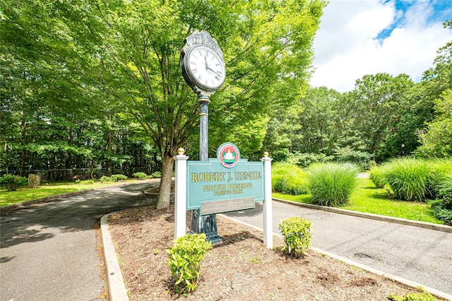 117 Pond Path, Centereach, NY 11720 - photo 18