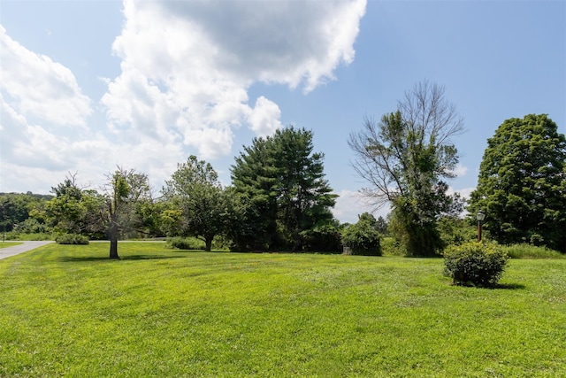 20 Meadow Ridge Ln, Lagrangeville, NY 12540 - photo 18