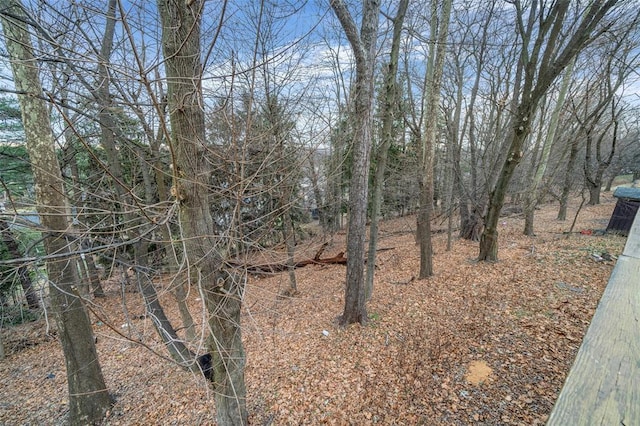 15 Gerardine Pl, New City, NY 10956 - photo 29