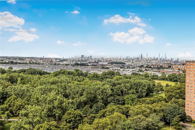 825 Morrison Ave Unit 19C, Bronx, NY 10473 - photo 19