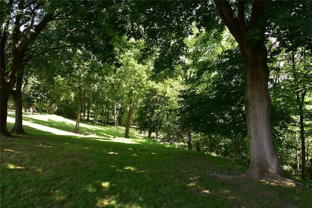 Stewart Ave, Beacon, NY 12508 - photo 4