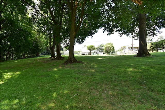 Stewart Ave, Beacon, NY 12508 - photo 5