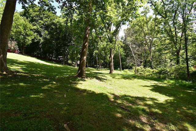 Stewart Ave, Beacon, NY 12508 - photo 6