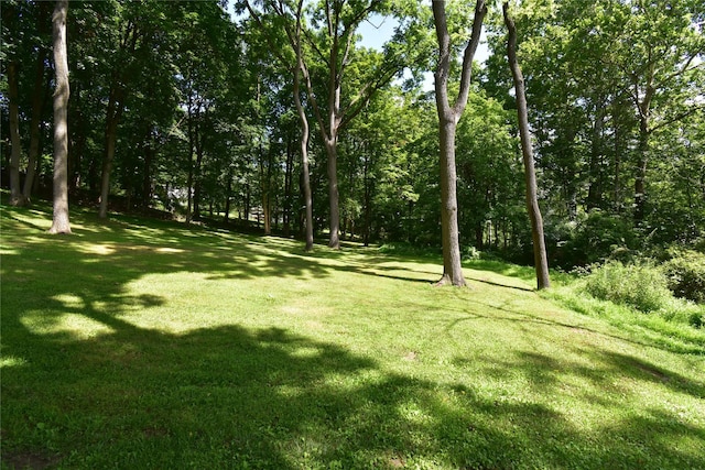 Stewart Ave, Beacon, NY 12508 - photo 7