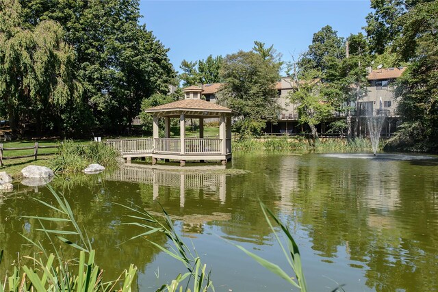 25 Meadowood Dr, Jericho, NY 11753 - photo 34