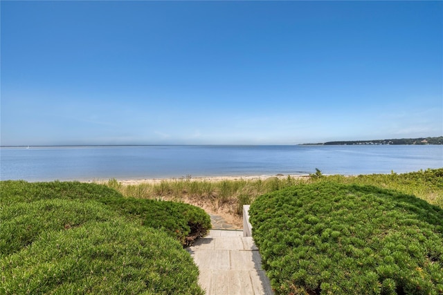96 Old House Ln, Sands Point, NY 11050 - photo 26