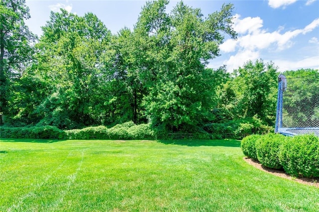 47 Bellefair Rd, Rye Brook, NY 10573 - photo 33