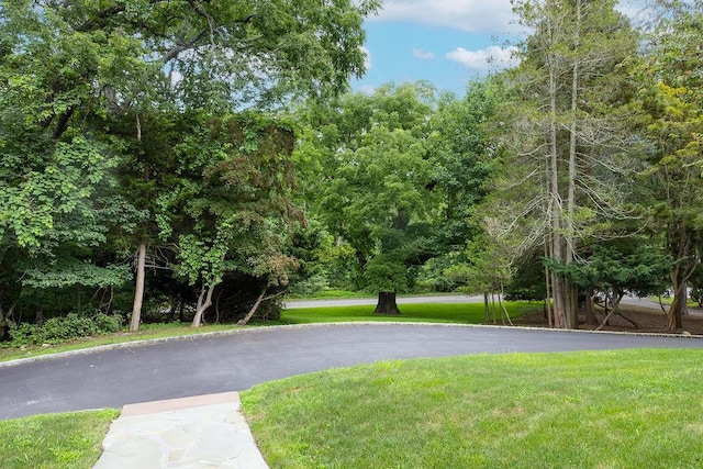 592 Landing Ave, Smithtown, NY 11787 - photo 5