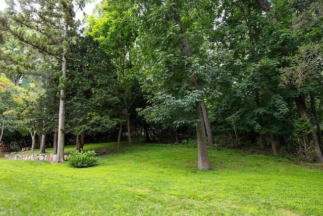 592 Landing Ave, Smithtown, NY 11787 - photo 46