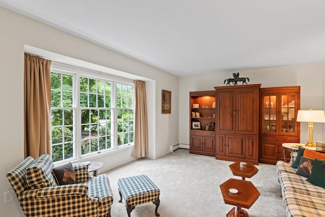 2 Saybrook Ct, Port Jefferson Station, NY 11776 - photo 20