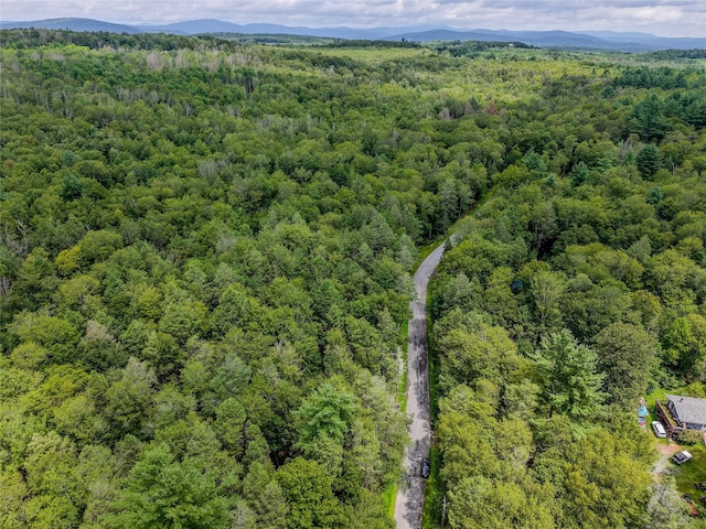 Leins Rd, Woodbourne, NY 12733 - photo 2