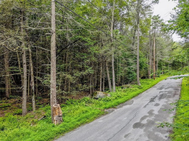 Leins Rd, Woodbourne, NY 12733 - photo 3