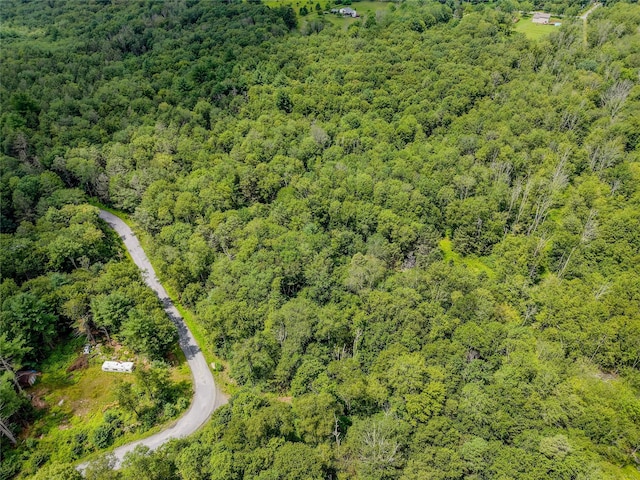 Leins Rd, Woodbourne, NY 12733 - photo 4