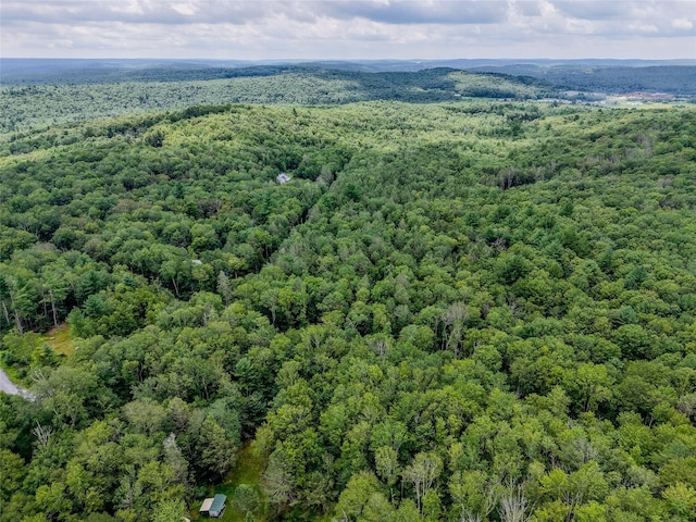 Leins Rd, Woodbourne, NY 12733 - photo 5