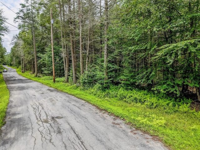 Leins Rd, Woodbourne, NY 12733 - photo 7