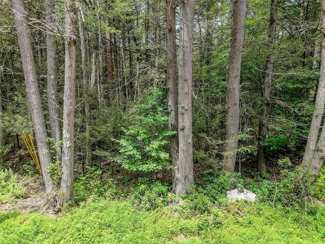 Leins Rd, Woodbourne, NY 12733 - photo 8