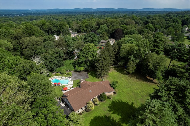 369 Phillips Hill Rd, New City, NY 10956 - photo 34
