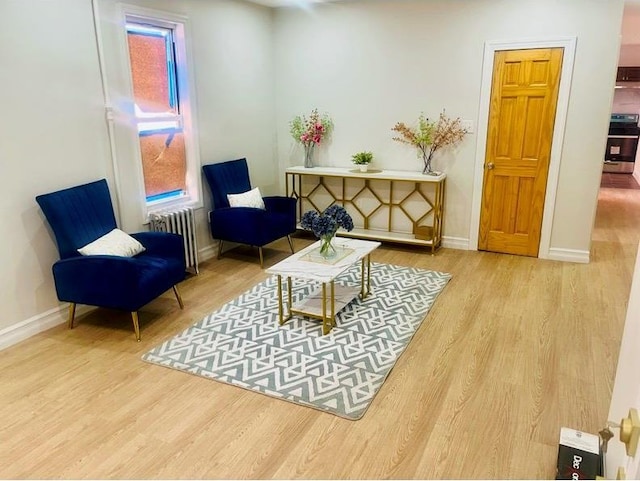 39 E 52nd St, Brooklyn, NY 11203 - photo 10
