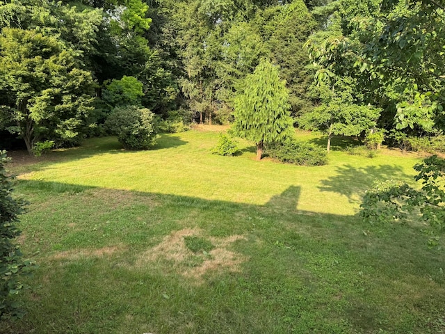 4 James Way, Granite Springs, NY 10527 - photo 6
